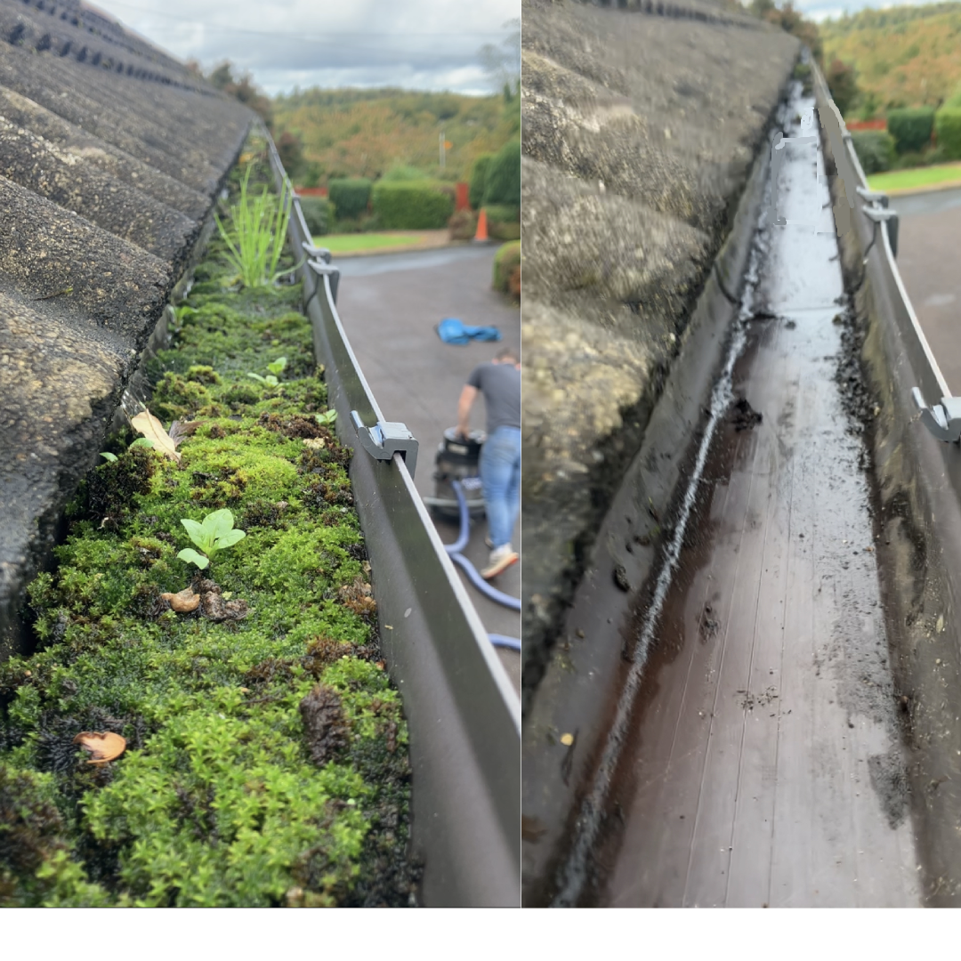 gutter cleaning services