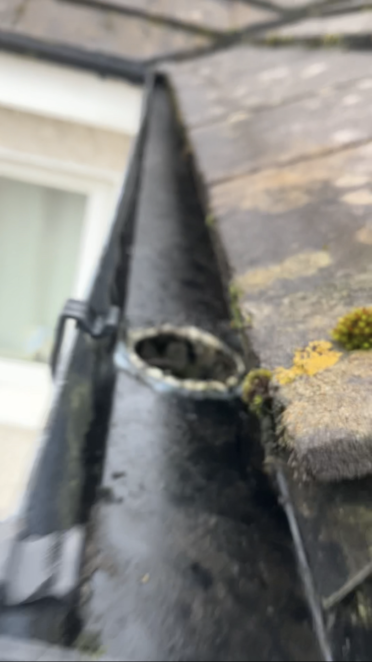 clean gutter in Waterford